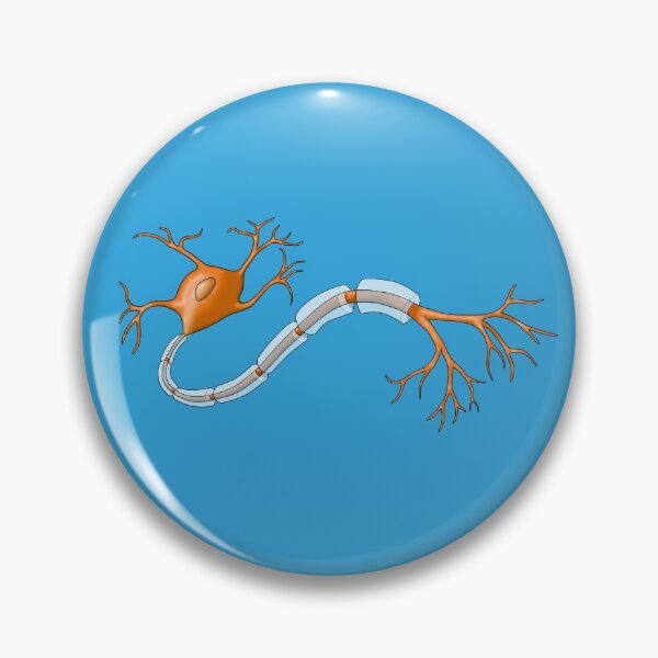 Item preview, Orange Neuron Nerve Cell with Myelin Sheath designed and sold by ScienceSource.
