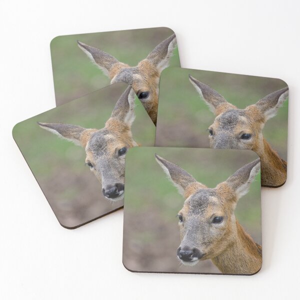 Item preview, Roe Deer female portrait designed and sold by photosbygemmad.
