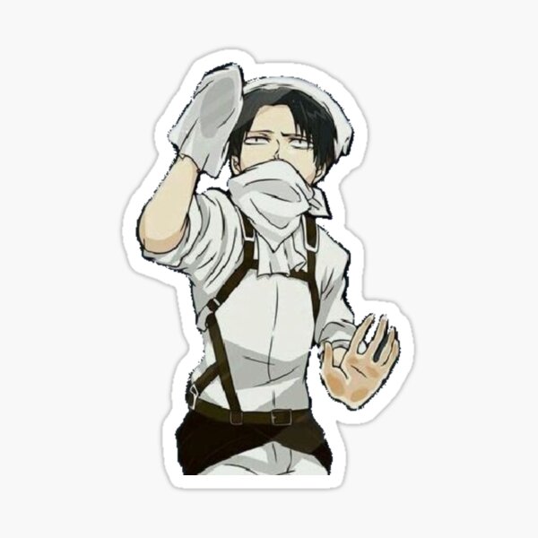 aot cleaning levi pop