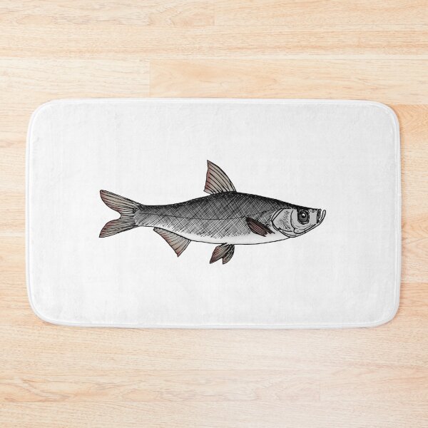 Item preview, Culter alburnus designed and sold by Stanton.
