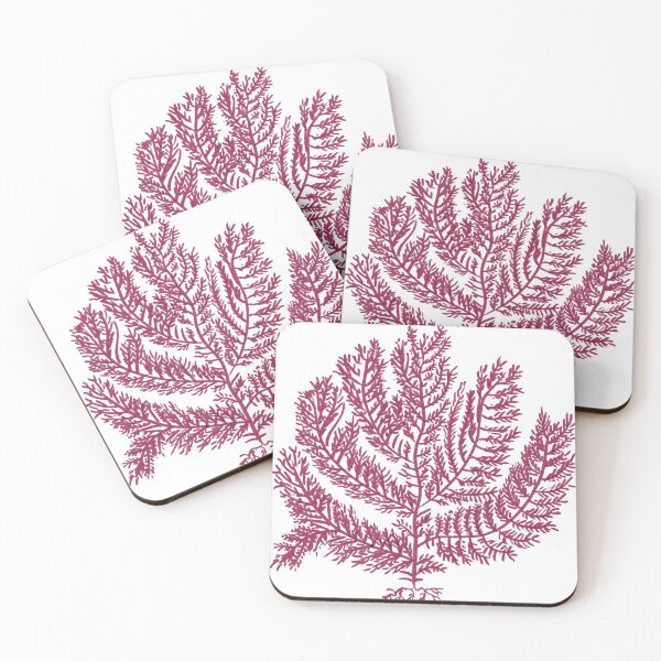 Item preview, Gelidium amansii designed and sold by Stanton.