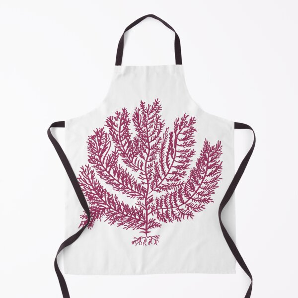 Item preview, Gelidium amansii designed and sold by Stanton.