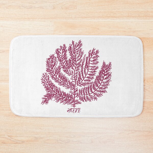 Item preview, Gelidium amansii designed and sold by Stanton.