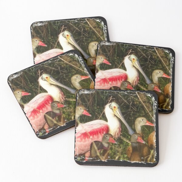 Item preview, The Ugly Duckling  designed and sold by Dead-Moroz.