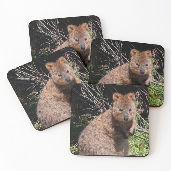 Item preview, The Quokka of Rottnest designed and sold by hawkie.