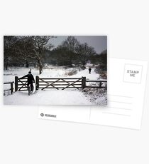 into god's canvas Postcards