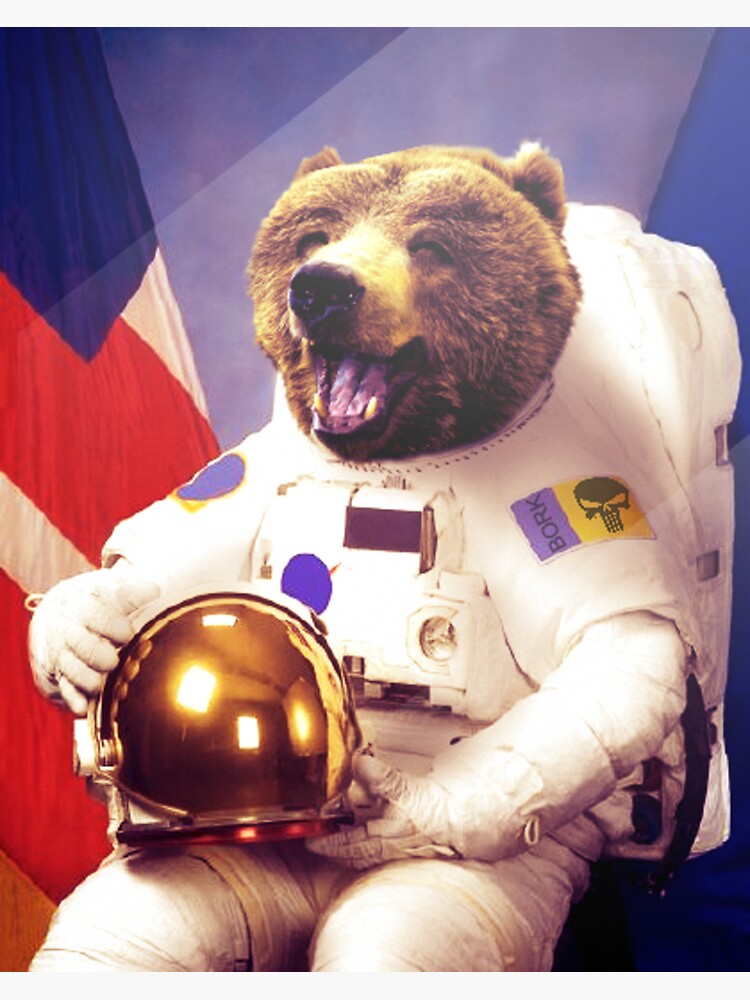 "Bear Astronaut" Sticker for Sale by Borkatjov Redbubble