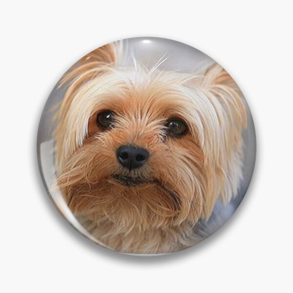 Item preview, Yorkshire Terrier dog pets dogs cute sweet designed and sold by Coolstuff4you71.