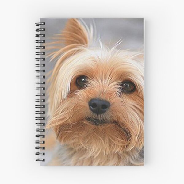 Item preview, Yorkshire Terrier dog pets dogs cute sweet designed and sold by Coolstuff4you71.