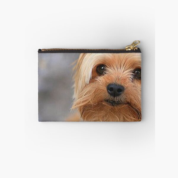 Item preview, Yorkshire Terrier dog pets dogs cute sweet designed and sold by Coolstuff4you71.