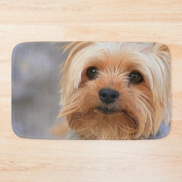 Item preview, Yorkshire Terrier dog pets dogs cute sweet designed and sold by Coolstuff4you71.