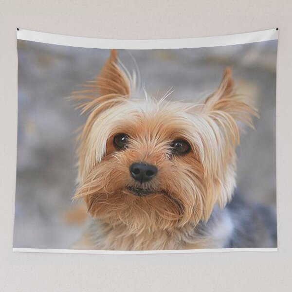 Item preview, Yorkshire Terrier dog pets dogs cute sweet designed and sold by Coolstuff4you71.