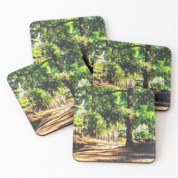 Item preview, Forest path no.2 designed and sold by OMdesigns93.