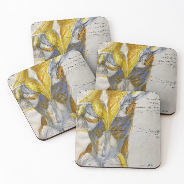 Item preview, Anatomy 1 designed and sold by Wendy Leigh Curtis.