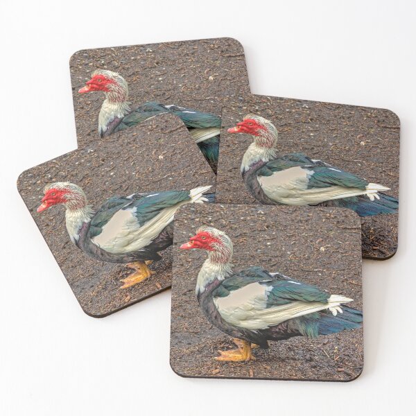 Item preview, There once was an ugly duckling designed and sold by tomg.