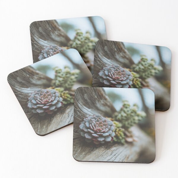 Item preview, Singapore Flowers designed and sold by Spud Groshong.