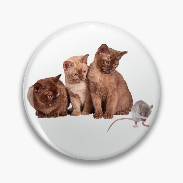 Item preview, Curious Kittens designed and sold by Danicus666.