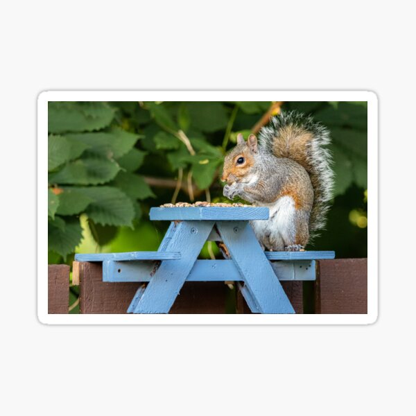 Item preview, Cute Squirrel designed and sold by stevemorris09.