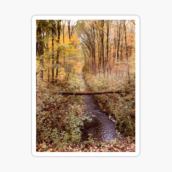 STREAM IN THE WOODS Sticker