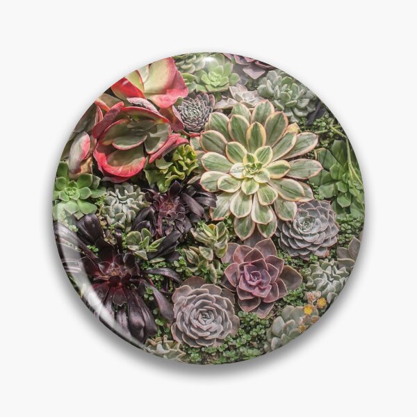 Item preview, USA. Philadelphia Flower Show 2020. Succulents. designed and sold by vadim19.