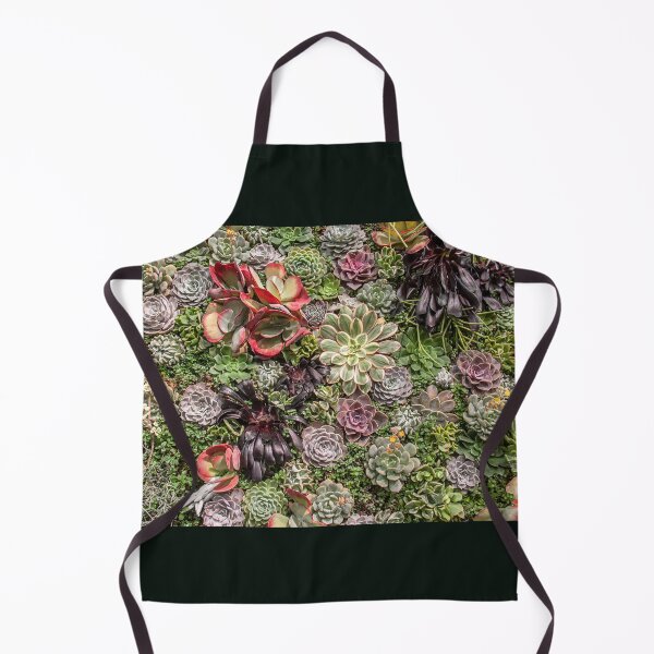 Item preview, USA. Philadelphia Flower Show 2020. Succulents. designed and sold by vadim19.