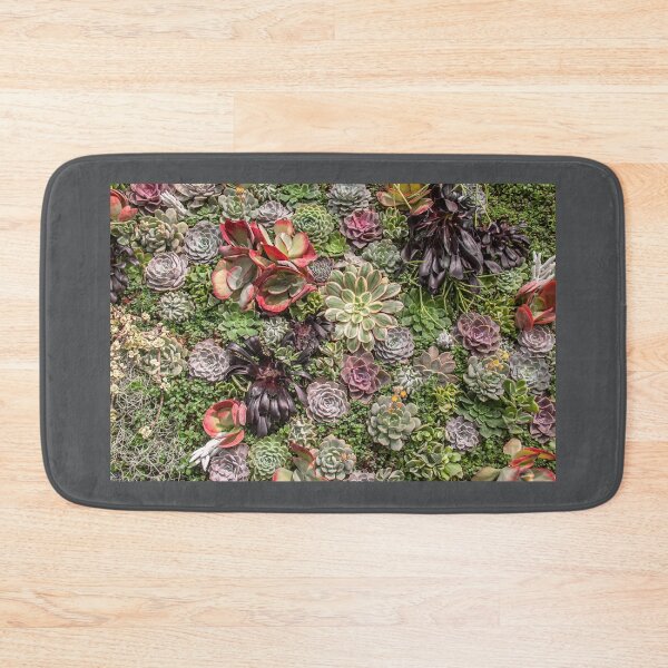 Item preview, USA. Philadelphia Flower Show 2020. Succulents. designed and sold by vadim19.