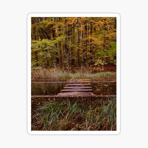 STEPPING STONES Sticker