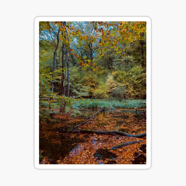 LAKE IN THE WOODS Sticker