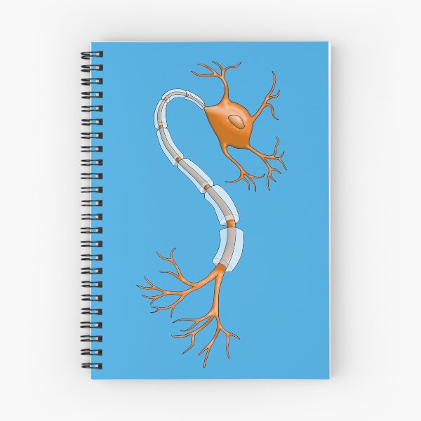 Item preview, Orange Neuron Nerve Cell with Myelin Sheath designed and sold by ScienceSource.