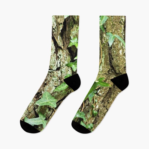 Item preview, Ivy Plant Tree Bark Texture Closeup designed and sold by worldways.