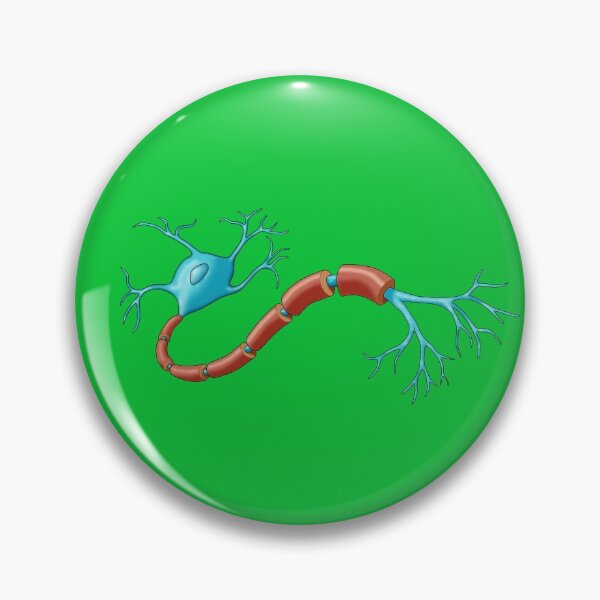 Item preview, Teal Blue and Orange Neuron Nerve Cell with Myelin Sheath designed and sold by ScienceSource.