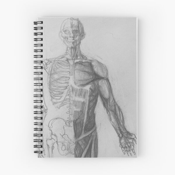 Item preview, Anatomy 2 designed and sold by Wendy Leigh Curtis.