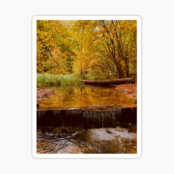 WATERFALL STREAM IN THE WOODS 2 Sticker