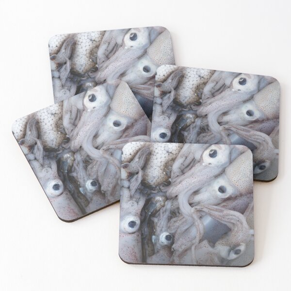 Item preview, 5 (S)quid (a quid a squid) designed and sold by Graham Geldard.