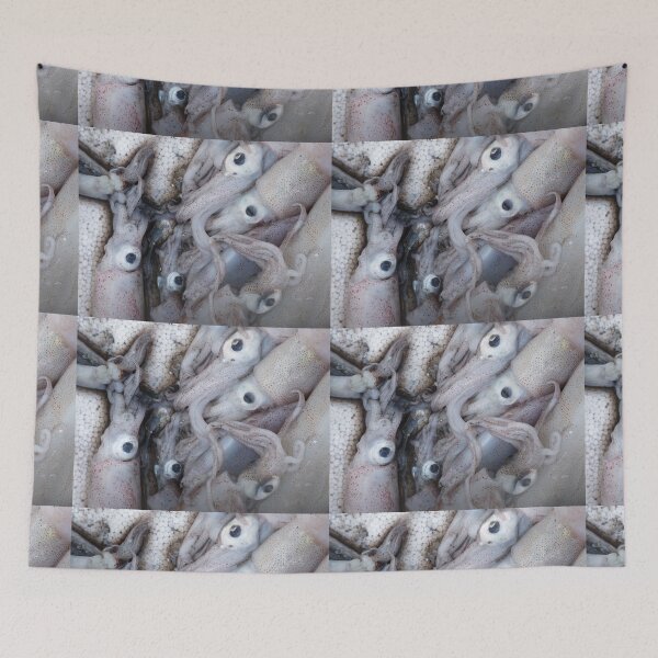 Item preview, 5 (S)quid (a quid a squid) designed and sold by Graham Geldard Photography.