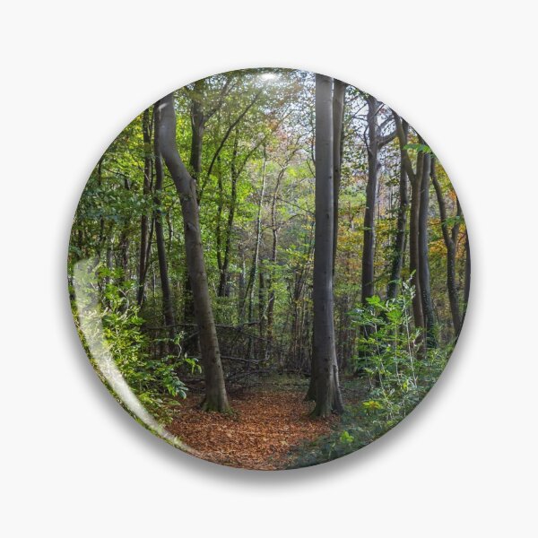 Artikelvorschau, Waldweg entworfen und verkauft von yorkyboy.