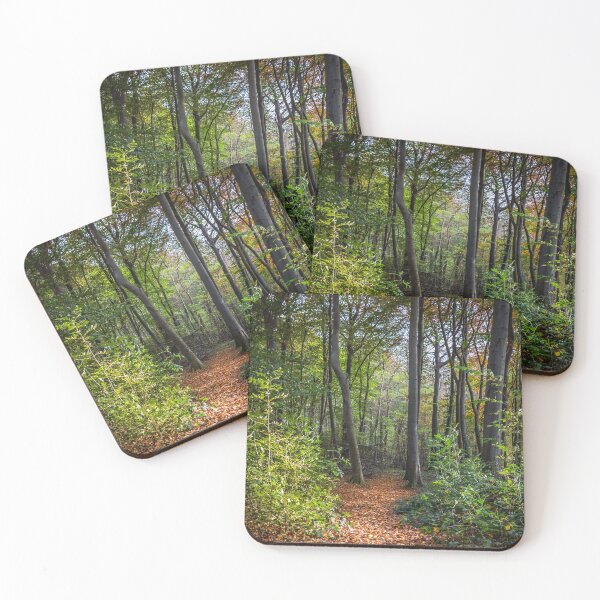 Item preview, Woodland path designed and sold by yorkyboy.