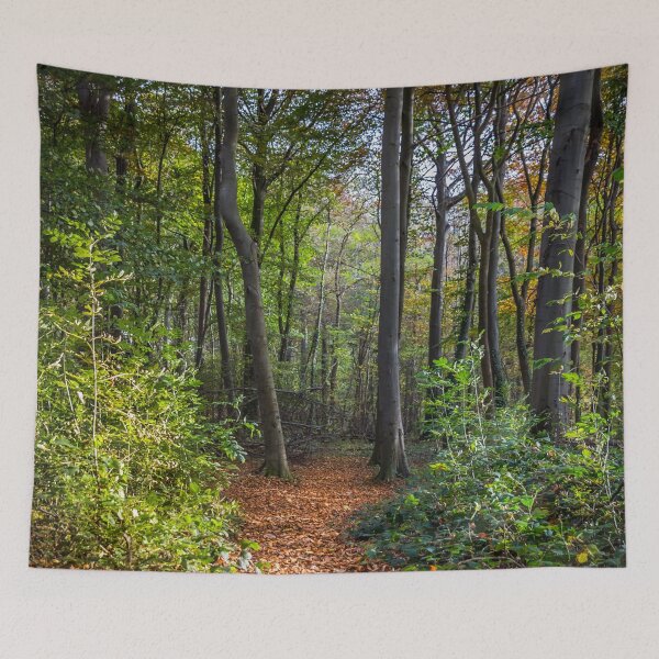 Aperçu de l'œuvre Chemin forestier créée et vendue par yorkyboy.