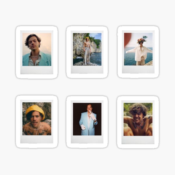 harry polaroid stickers Sticker