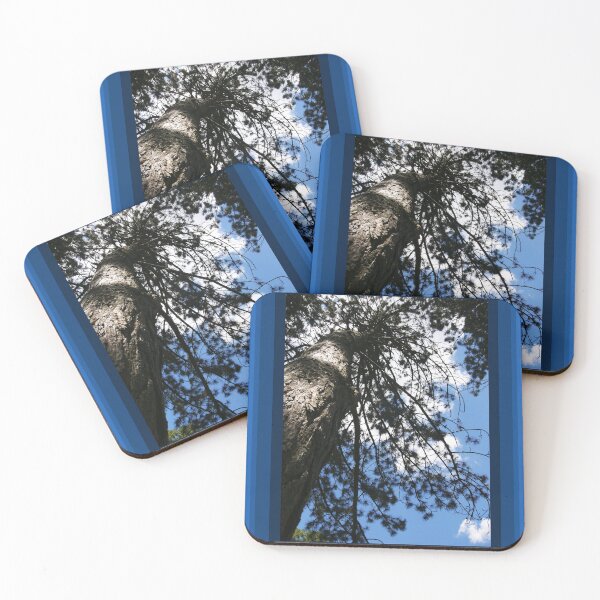 Artikelvorschau, Nachdenklicher Moment, Perspektivische Fotografie, Blue Ombre von Courtney Hatcher entworfen und verkauft von cghatcherart.