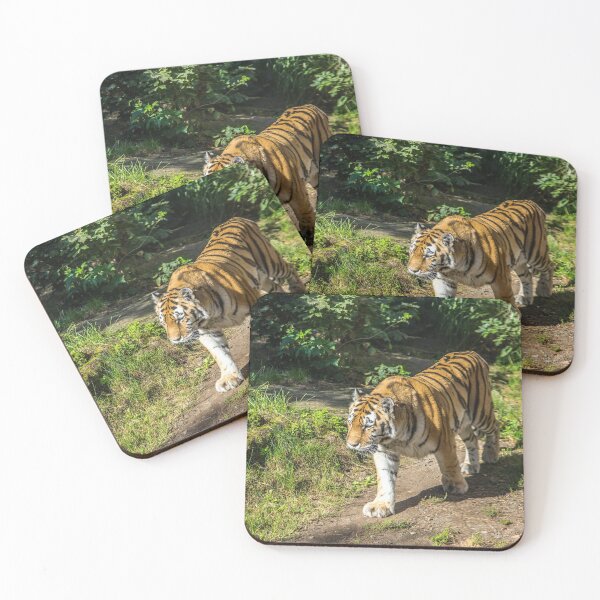 Item preview, Czech Republic. Prague. Zoo. Tiger. designed and sold by vadim19.