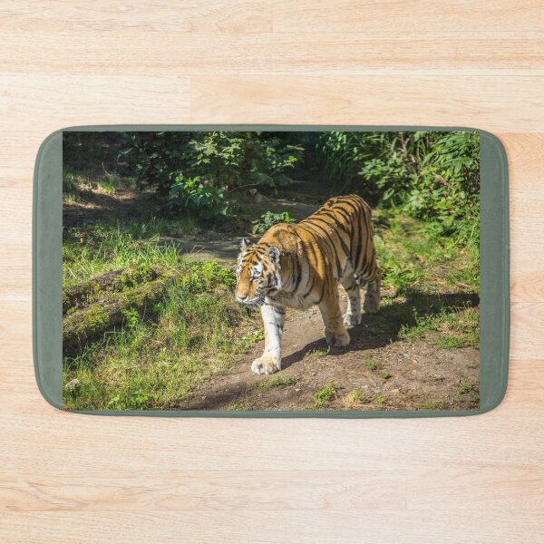 Item preview, Czech Republic. Prague. Zoo. Tiger. designed and sold by vadim19.