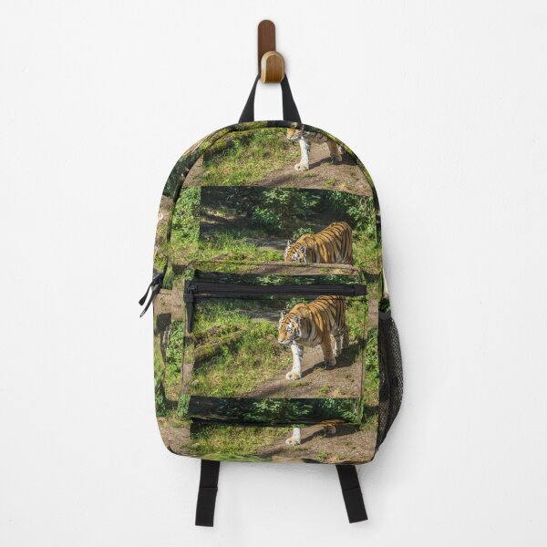 Item preview, Czech Republic. Prague. Zoo. Tiger. designed and sold by vadim19.