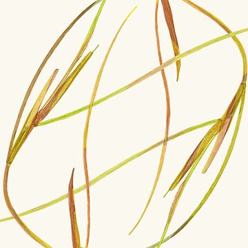 Artwork thumbnail, Rhythm - organic shapes by anni103
