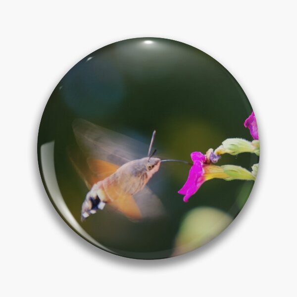 Item preview, Hummingbird Hawk Moth designed and sold by Kasia Design.