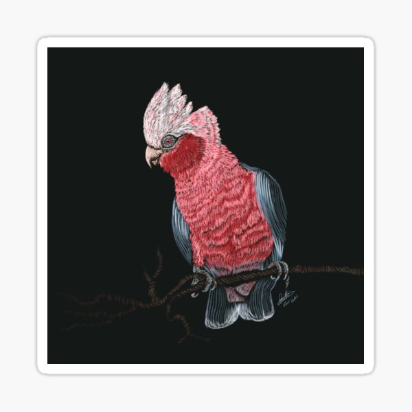 Item preview, Roseate Cockatoo | Galah designed and sold by Daniel Watts.