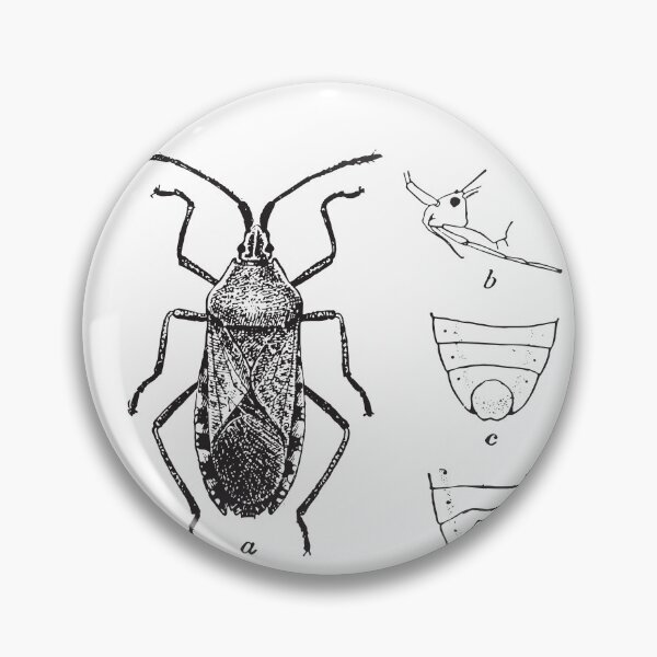 Item preview, Squash-Bug | Study of Insects | Entomology designed and sold by art-fox.