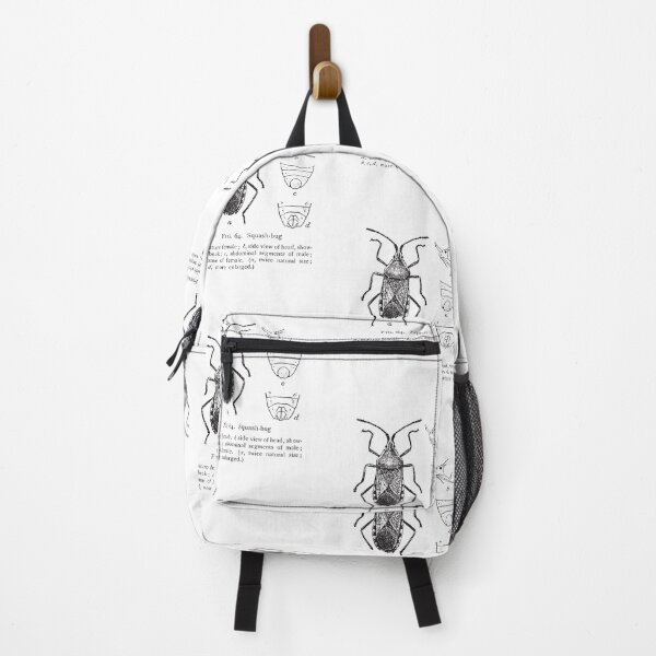 Item preview, Squash-Bug | Study of Insects | Entomology designed and sold by art-fox.