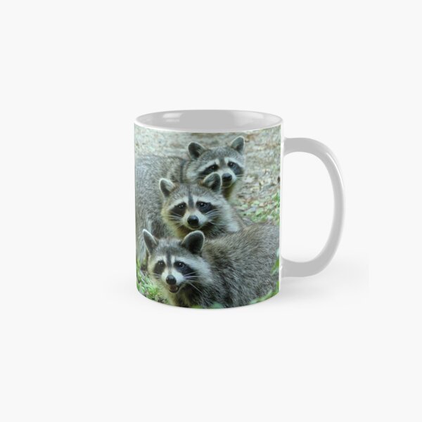 Item preview, Three Raccoon designed and sold by Jean Gregory Evans.