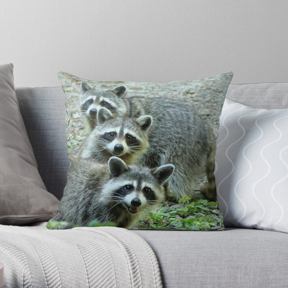 raccoon pillow pet